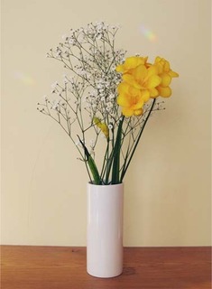 freesia.jpg
