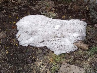lastsnow.jpg