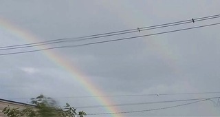 rainbow1.jpg