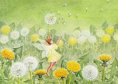 旅するタンポポ